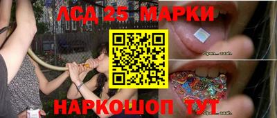 сатива Будённовск