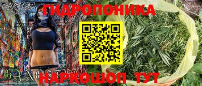 сатива Будённовск