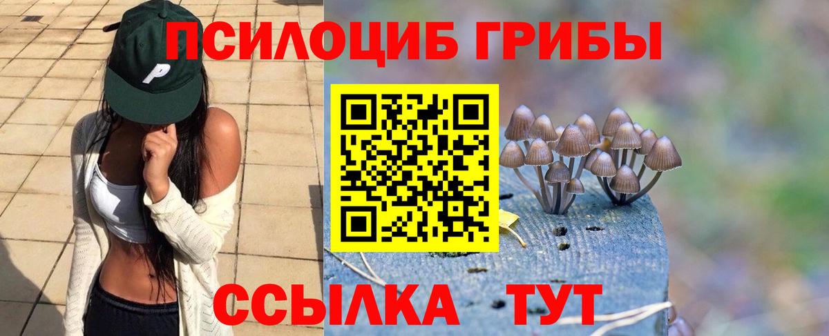 Галлюциногенные грибы Psilocybe Фролово