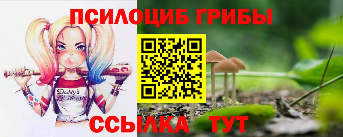 Псилоцибиновые грибы MAGIC MUSHROOMS  где продают наркотики  Фролово  Вход с VPN 